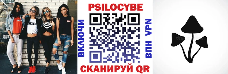 mega маркетплейс  Сельцо  Псилоцибиновые грибы GOLDEN TEACHER 