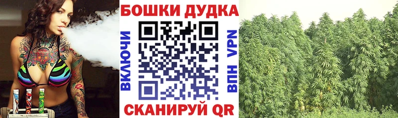 закладки Сельцо Канабис VHQ